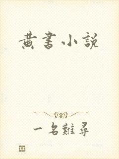 黄书小说