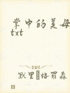 掌中的美母版主txt