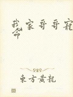 我家哥哥宠妹如命