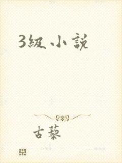 3级小说