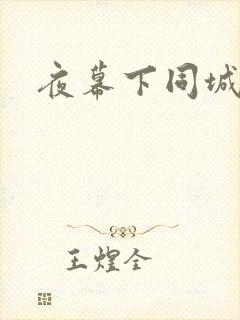 夜幕下同城网