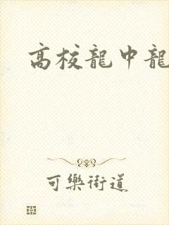 高校龙中龙