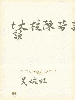 t大校陈若芸小说