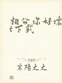 相公你好坏txt下载