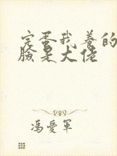 完蛋我养的小白脸是大佬