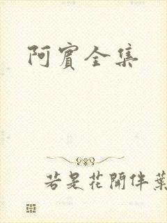 阿宾全集