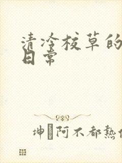 清冷校草的抹布日常