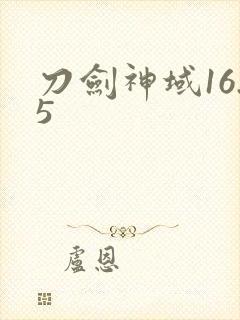 刀剑神域16.5