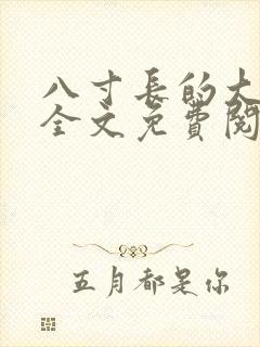 八寸长的大宝贝全文免费阅读