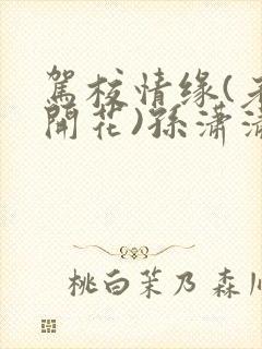 驾校情缘(老树开花)孙潇潇第一次趣笔阁