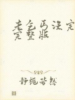 老乞丐没完没了完整版