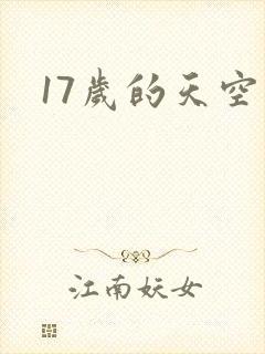 17岁的天空