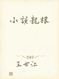 小说龙根