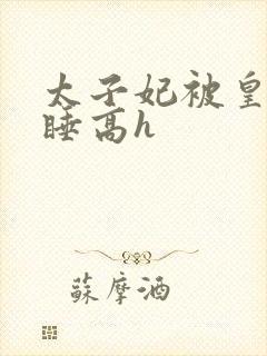 太子妃被皇上强睡高h