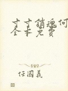 寸寸销魂何生祥全本免费