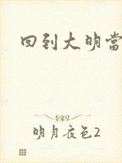 回到大明当才子