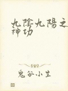 九阴九阳之阴阳神功