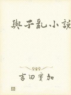 与子乱小说
