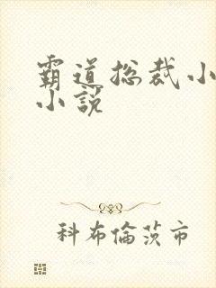 霸道总裁小娇妻小说