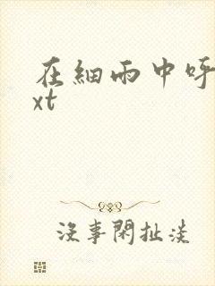 在细雨中呼喊txt