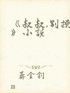 《叔叔,别撩我》小说