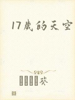 17岁的天空