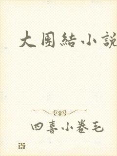 大团结小说全文