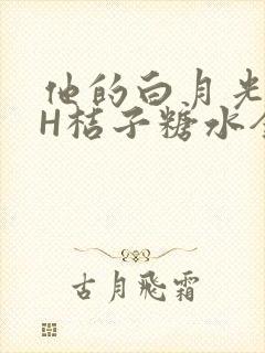 他的白月光HVH桔子糖水全文