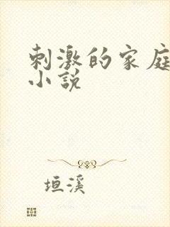 刺激的家庭乱仑小说