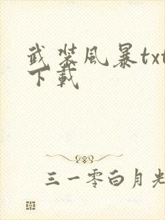 武装风暴txt下载
