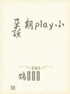 孕期play小说
