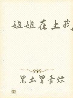 姐姐在上我在下