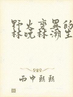 野火变异的父爱林晚林潮生