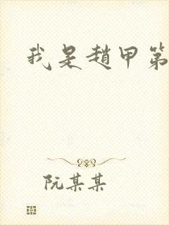 我是赵甲第小说