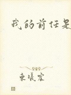 我的前任是极品