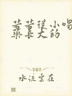 若若从小喝催乳药长大的