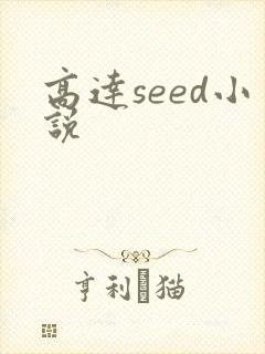高达seed小说