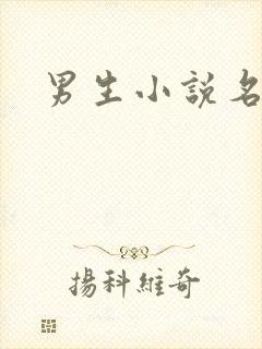 男生小说名字