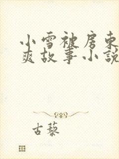 小雪被房东的好爽故事小说