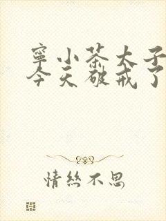 宁小茶太子殿下今天破戒了吗免费阅读