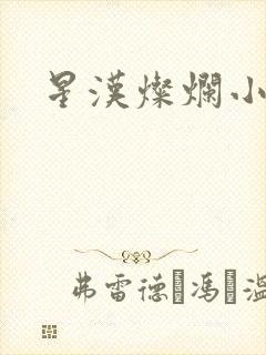 星汉灿烂小说