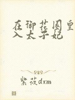 在御花园皇上进入太子妃