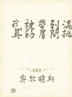 我被带到满是玩具的房间挑调作文