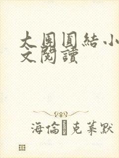 大团圆结小茹全文阅读