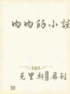 肉肉的小说