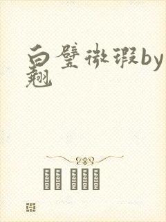 白璧微瑕by连翘