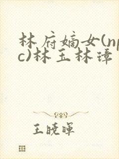 林府嫡女(npc)林玉林璋