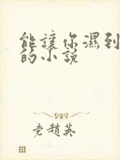 能让你湿到不行的小说