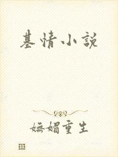 基情小说