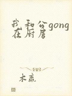 我和公gong在厨房